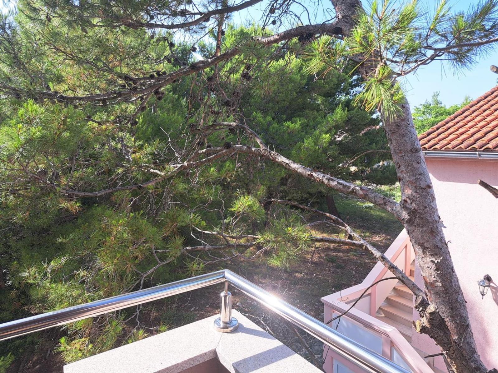 Apartmani Vukadin Vir Ngoại thất bức ảnh